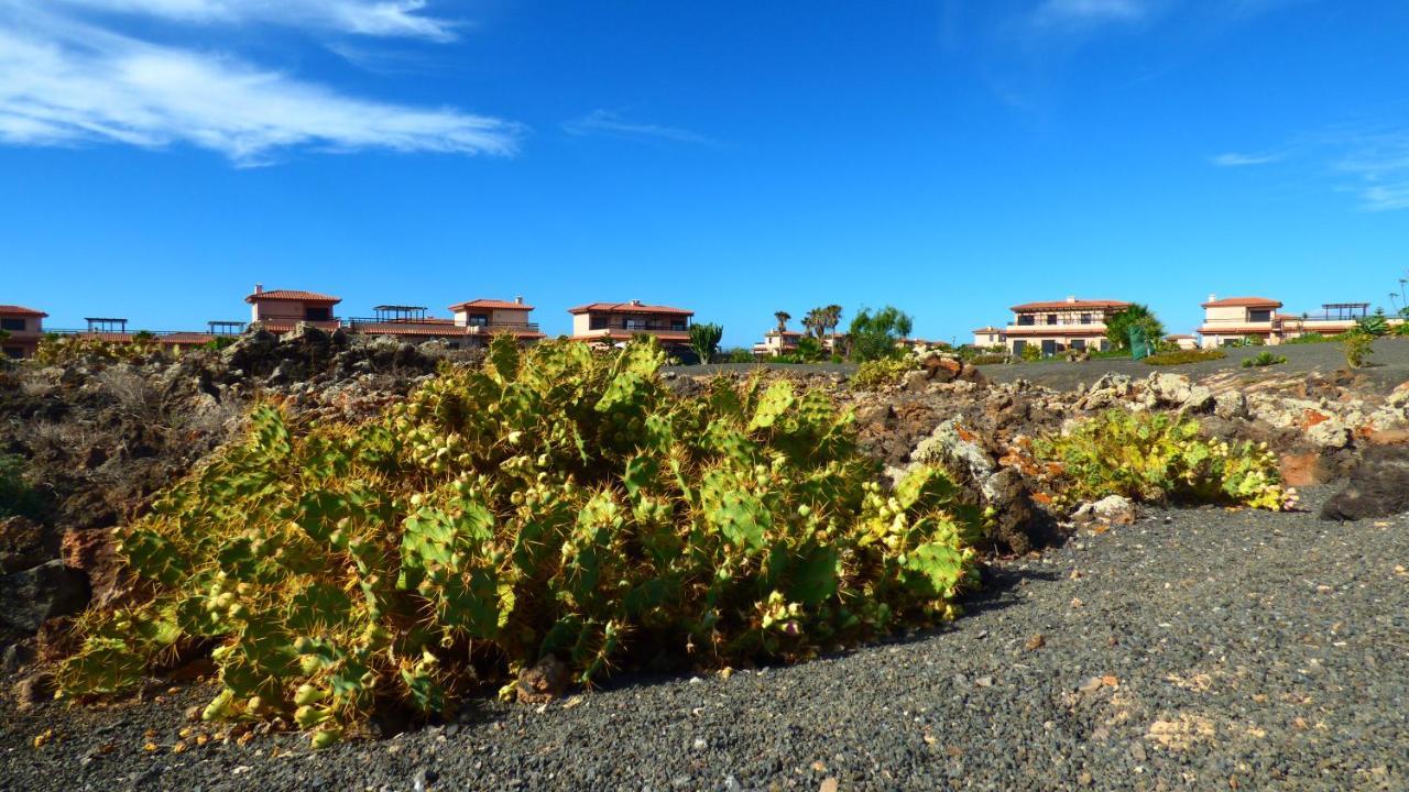 Villa Marta Lajares Εξωτερικό φωτογραφία